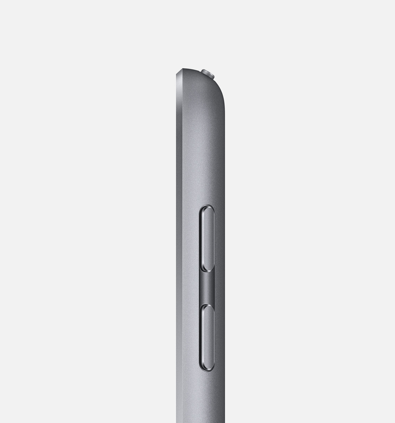 Apple iPad 9.7-Inch 128GB Wi-Fi + Cellular Space Grey Tablet
